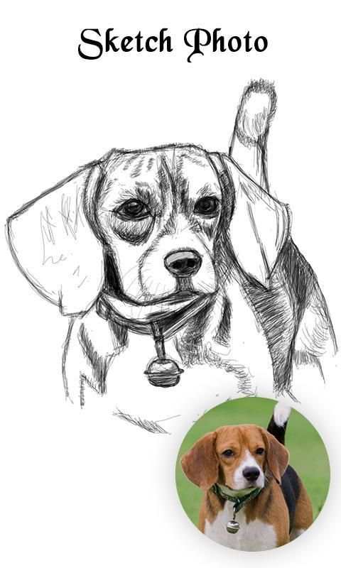Sketch Photo स्क्रीनशॉट 5
