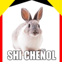 Full Memes Momos Momazos WAStickerApps 7.0