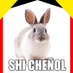 WAStickerApps Memes Momazos Megapack para whatssp आइकन