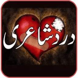 Urdu Shairy 1.3