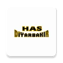 Has Diyarbakır 1.0