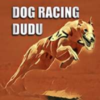 Dog Racing Dudu