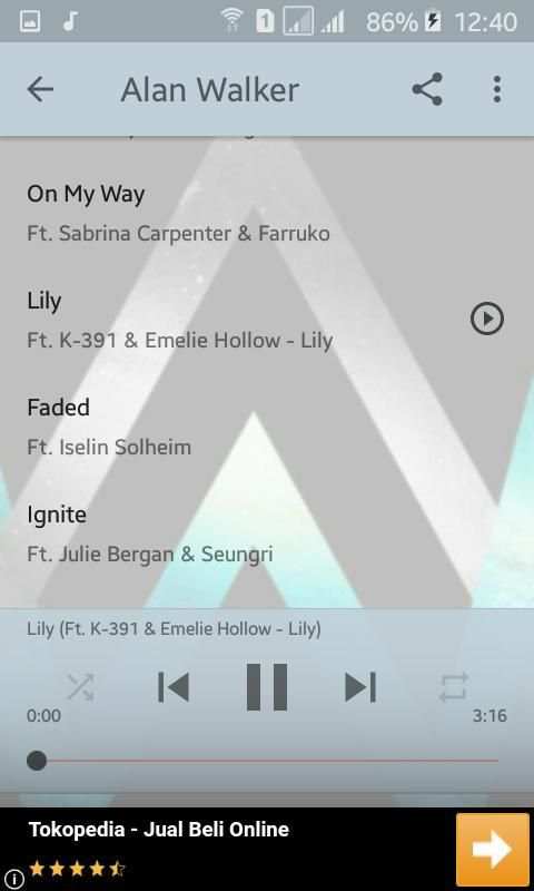 Alan Walker Offline screenshot 1