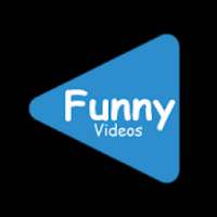 Funny Videos