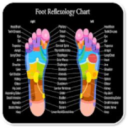 ikon Foot Reflexology Chart