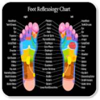Foot Reflexology Chart on 9Apps