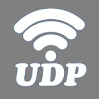 UDP Client