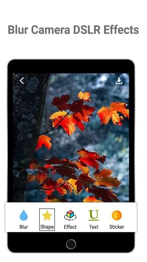 Blur Photo Editor : Blur Background With Shapes स्क्रीनशॉट 4
