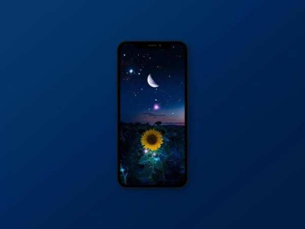 Sunflower Wallpaper स्क्रीनशॉट 4