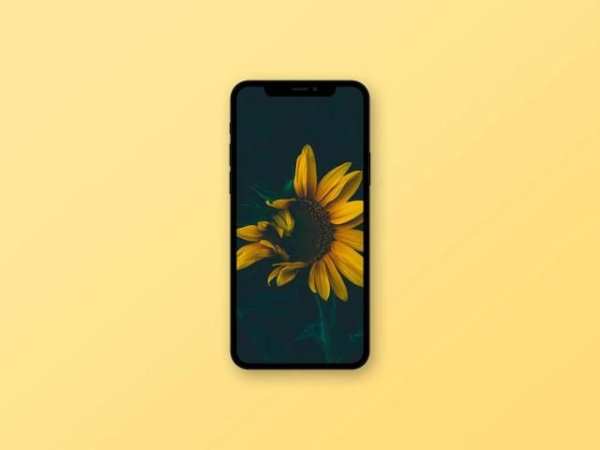 Sunflower Wallpaper स्क्रीनशॉट 7