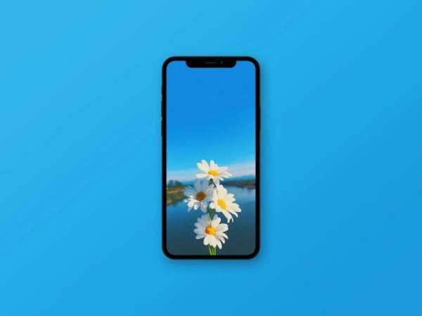 Sunflower Wallpaper स्क्रीनशॉट 3