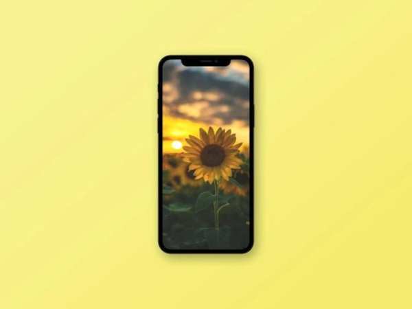 Sunflower Wallpaper स्क्रीनशॉट 2