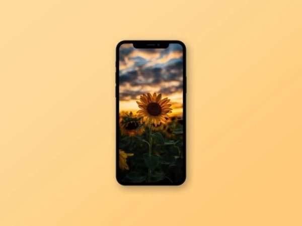 Sunflower Wallpaper स्क्रीनशॉट 6