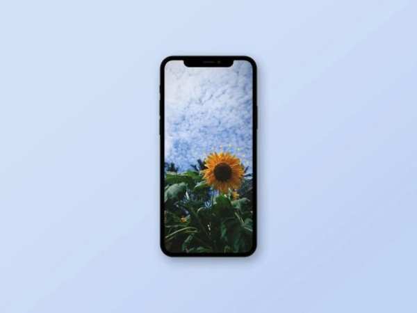 Sunflower Wallpaper स्क्रीनशॉट 5