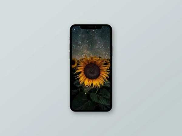 Sunflower Wallpaper स्क्रीनशॉट 1