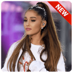 ikon Ariana Grande Wallpaper HD