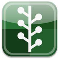 Alif Lam Mim on 9Apps