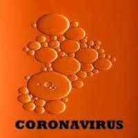 coronavirus info 2020