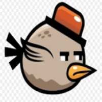 Bird Flappy