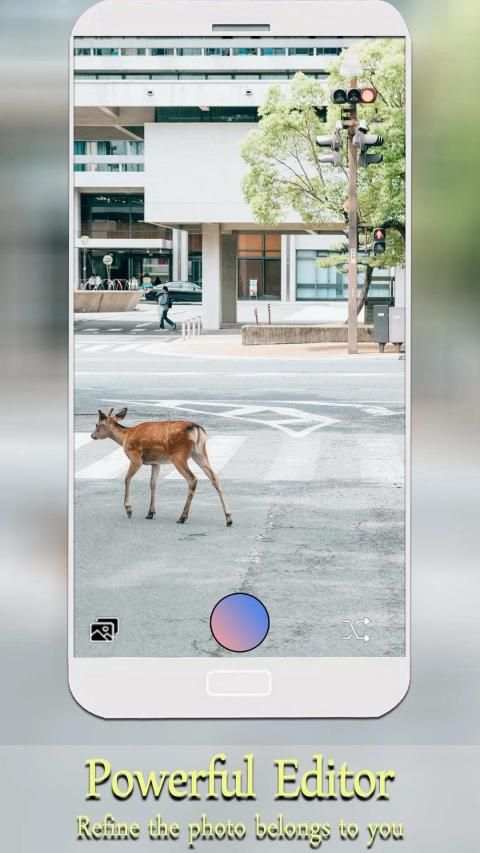 Camera Pixel 3A - Selfie Camera For Pixel 3A XL screenshot 3