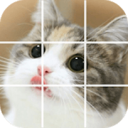 Puzzle Cute Cat - Swap Puzzle आइकन