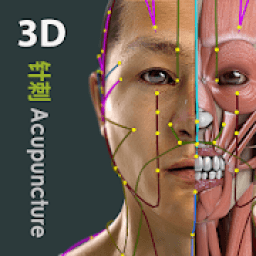 ikon Visual Acupuncture 3D