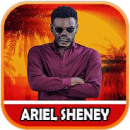 ARIEL SHENEY 1.0