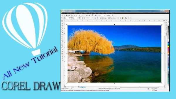 All New Tutorials Corel Draw Effect screenshot 3