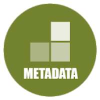 MiX Metadata (MiXplorer Addon)