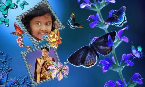 Butterfly Photo Frames скриншот 3