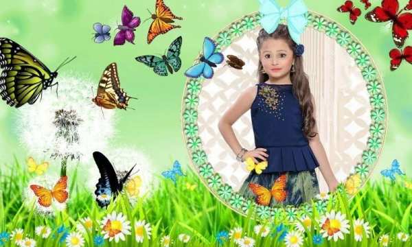Butterfly Photo Frames скриншот 5