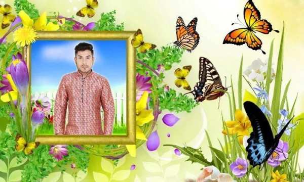 Butterfly Photo Frames скриншот 2