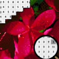 Plumeria Flowers Color By Number-Pixel Art