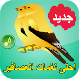 أحلى نغمات الطيور و العصافير بدون انترنت
‎ icon