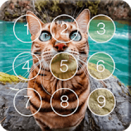 Cute Kitten Cat Little Pet Screen Lock आइकन