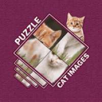 Cute Cat Puzzle