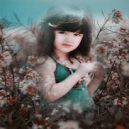 Flower Blend आइकन