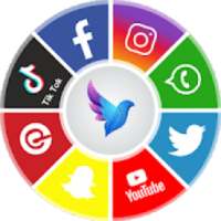 All Social Media Browser