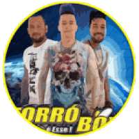 Banda Forro Boys Musica Sem Internet on 9Apps