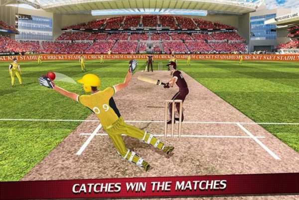 Wicket Keeper 2019: Cricket Cup screenshot 12