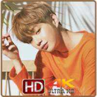 Kang Daniel Wallpaper KPOP-HD on 9Apps