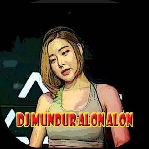 DJ Mundur Alon Alon screenshot 3