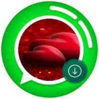Status Saver And Downloader For Image And Videos