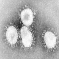 CoronaVirus on 9Apps