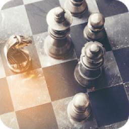 Real 3D Chess Free Offline Online Two Player Game