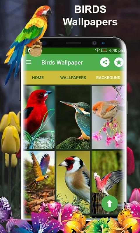 Birds 3d wallpapers स्क्रीनशॉट 2