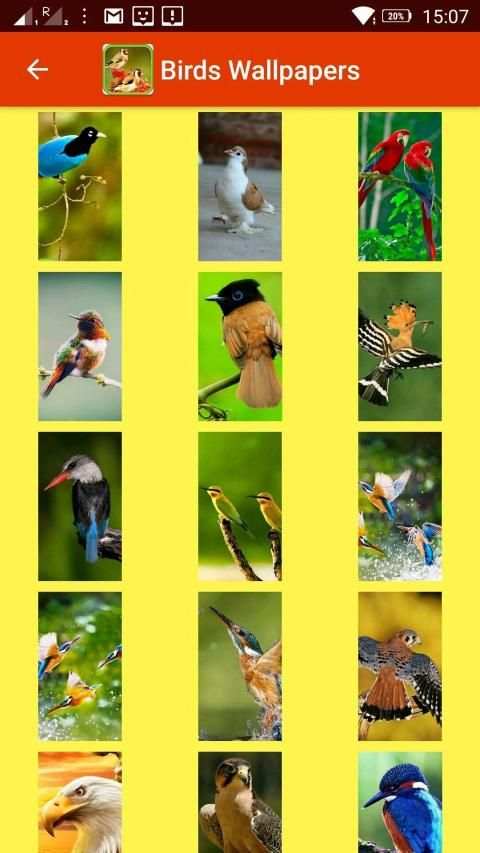 Birds 3d wallpapers स्क्रीनशॉट 15