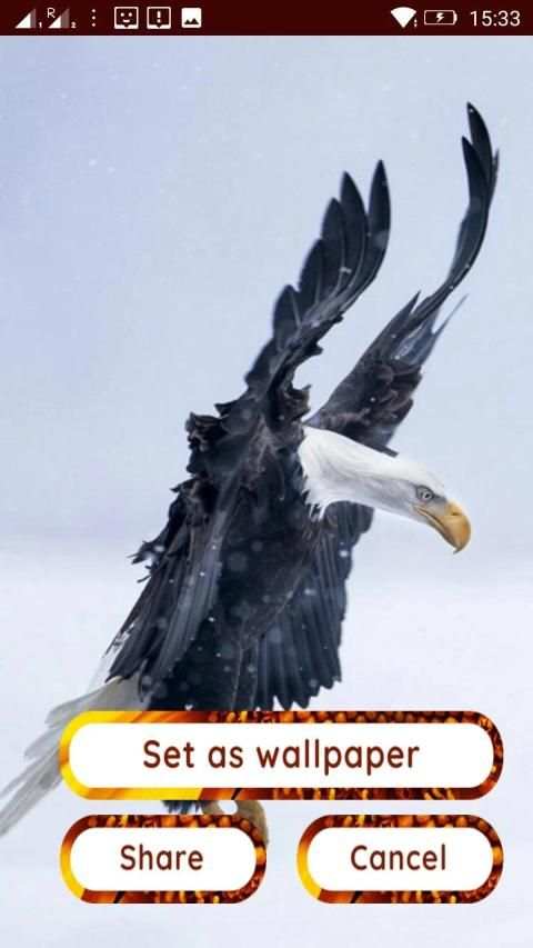 Birds 3d wallpapers स्क्रीनशॉट 14