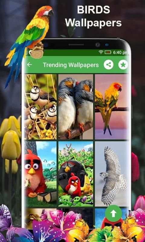Birds 3d wallpapers स्क्रीनशॉट 1
