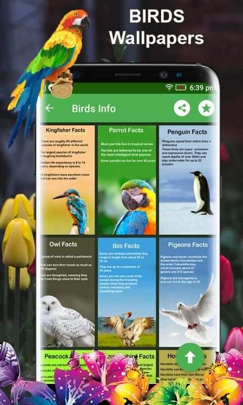 Birds 3d wallpapers स्क्रीनशॉट 6